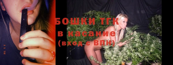 гашик Нея