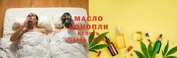гашик Нея