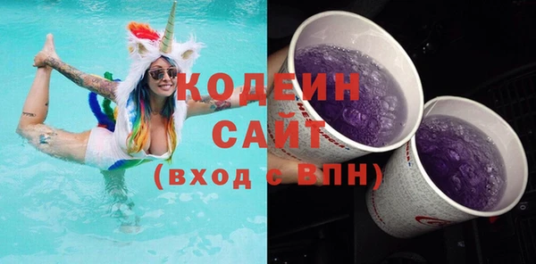 гашик Нея