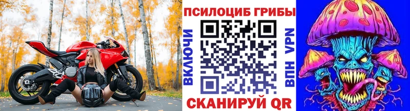 Псилоцибиновые грибы прущие грибы  Купить закладки  Нижнеудинск 